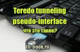 Фото Teredo tunneling pseudo-interface - что это такое?