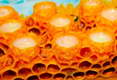 Продукты пчеловодства Здоровье и молодость на крыльях пчелы.
